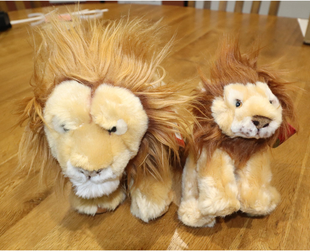 Furry Lions