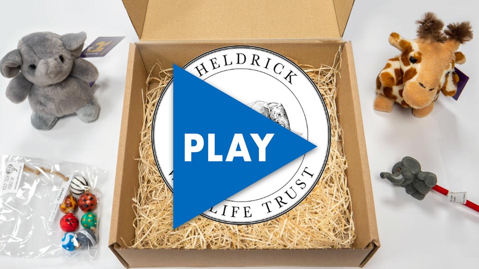 sheldrick play button